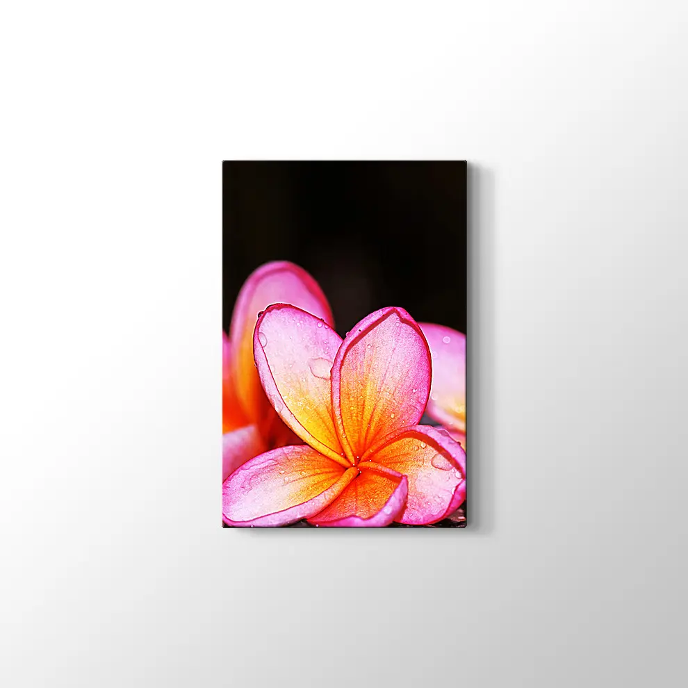 Islak Çiçekler Kanvas Tablo