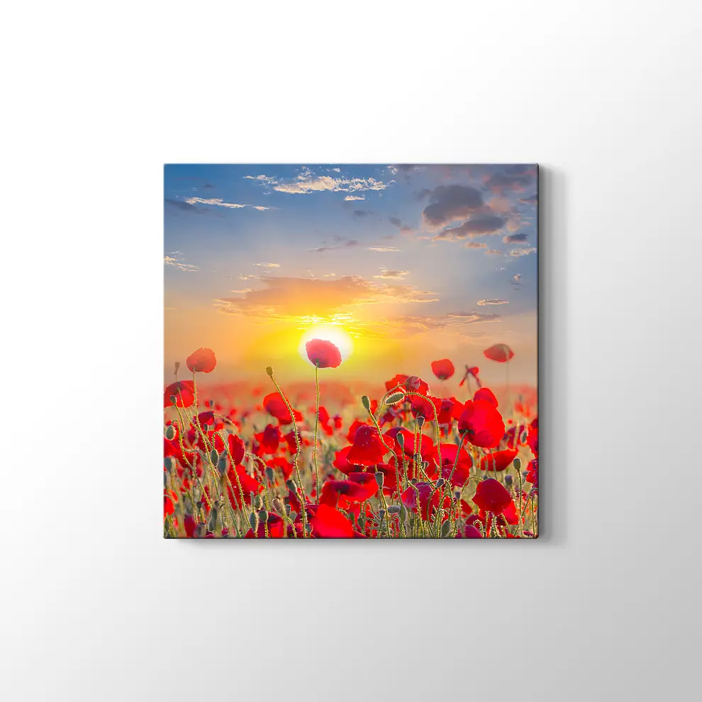 Gündoğumunda Gelincikler Kanvas Tablo