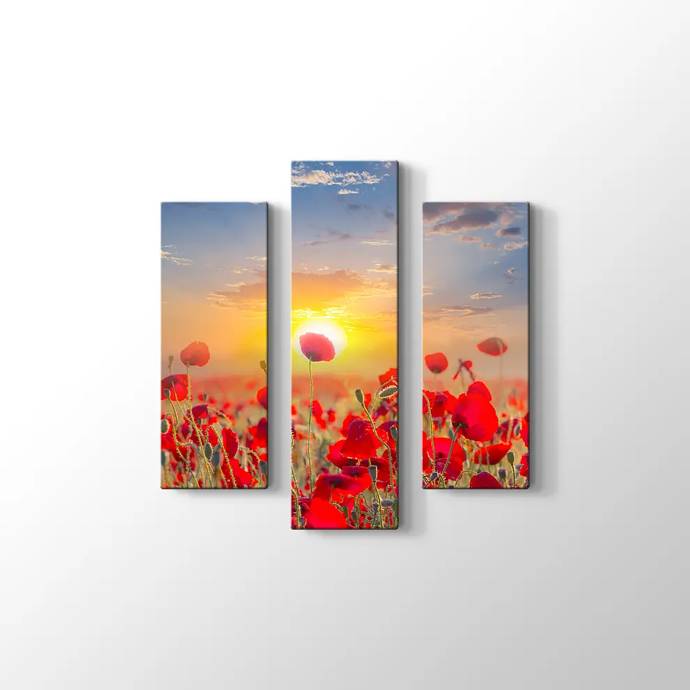 Gündoğumunda Gelincikler Kanvas Tablo