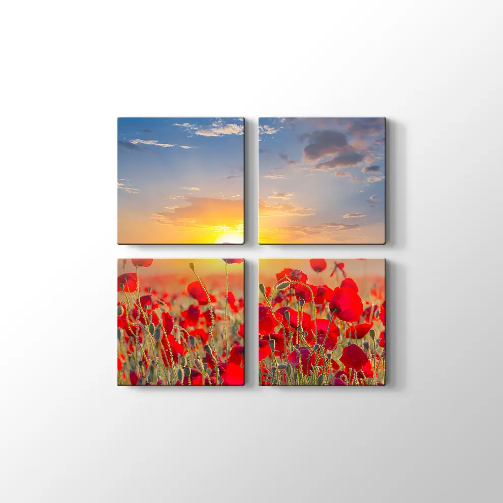 Gündoğumunda Gelincikler Kanvas Tablo