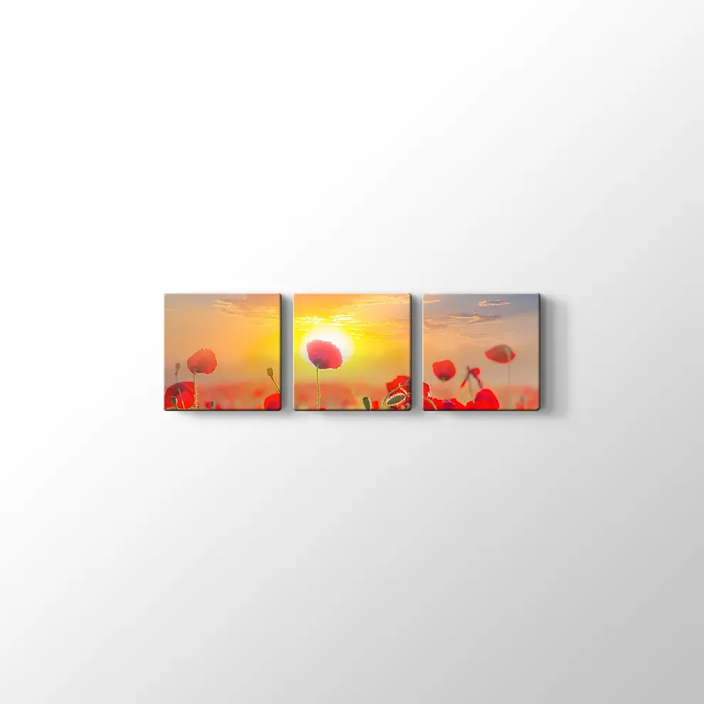 Gündoğumunda Gelincikler Kanvas Tablo