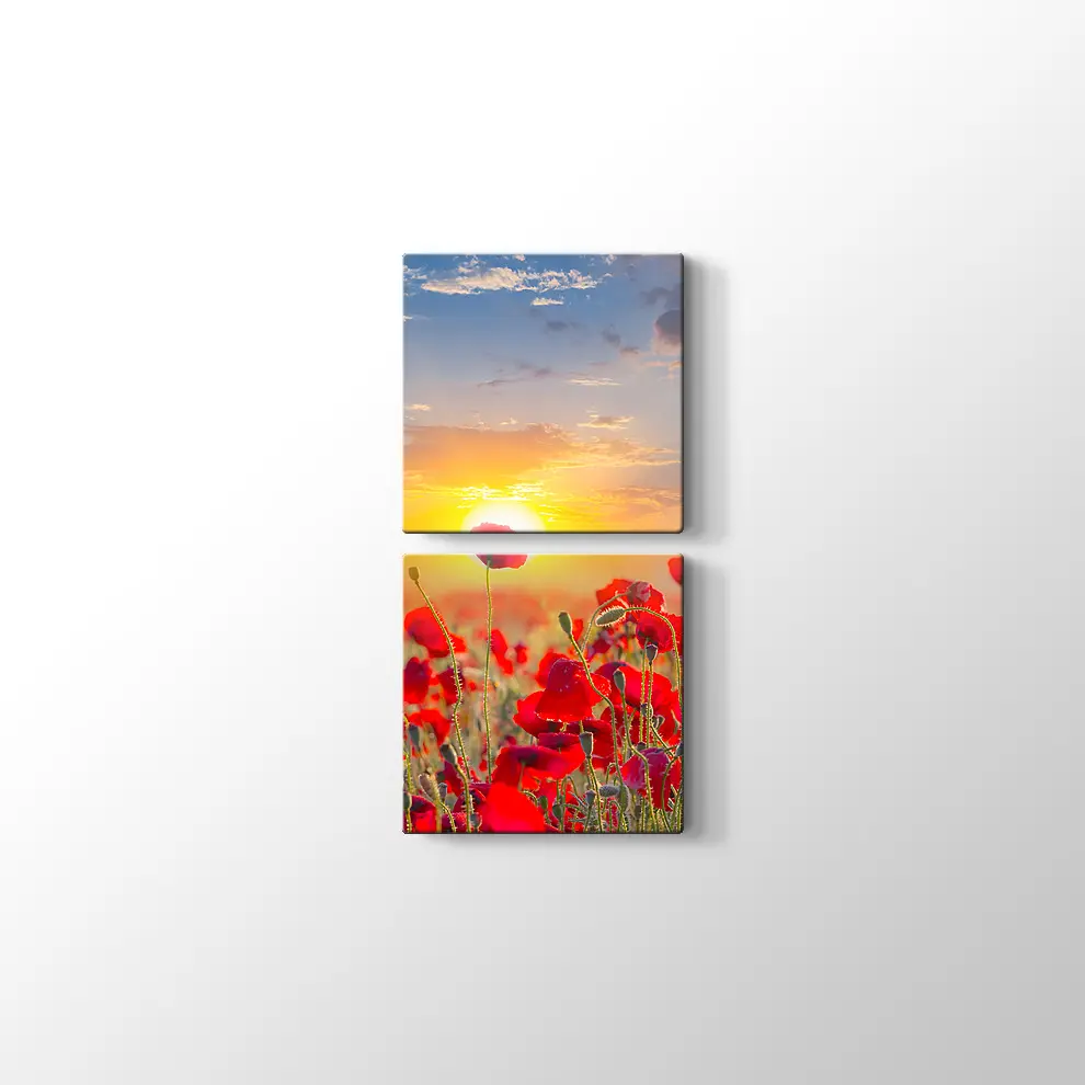 Gündoğumunda Gelincikler Kanvas Tablo