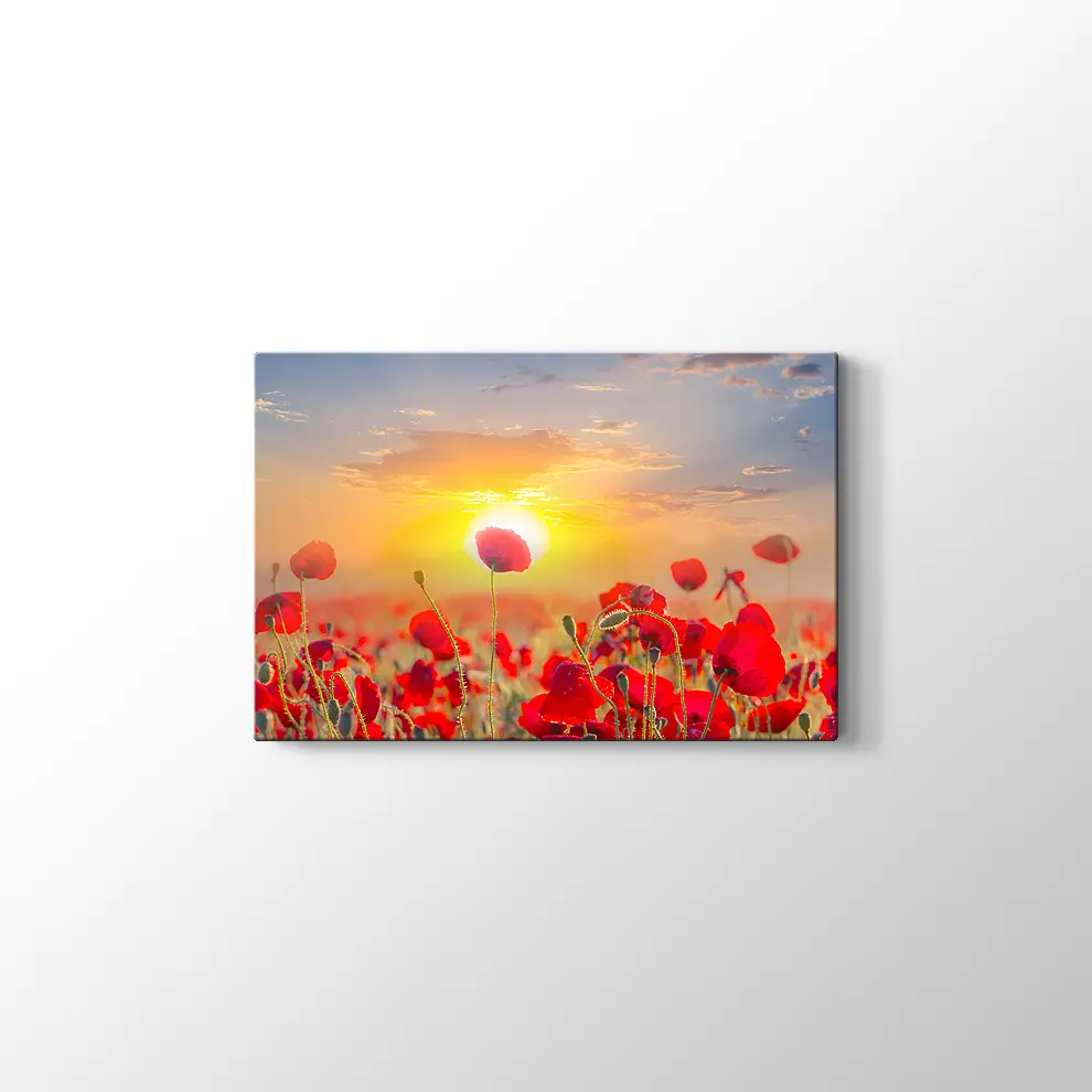Gündoğumunda Gelincikler Kanvas Tablo