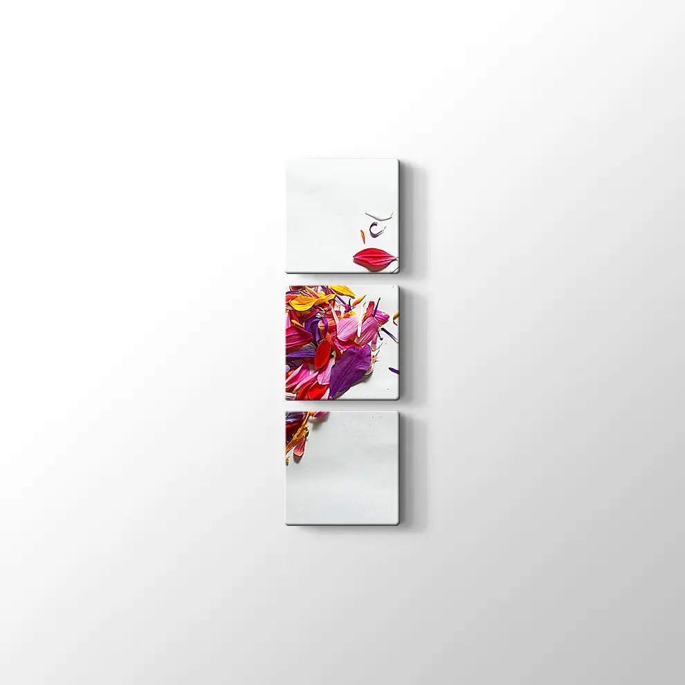 Çiçek Yaprakları Kanvas Tablo