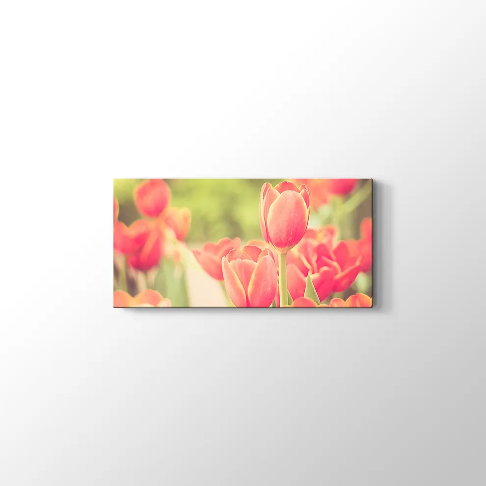 Lale Bahçesi Kanvas Tablo