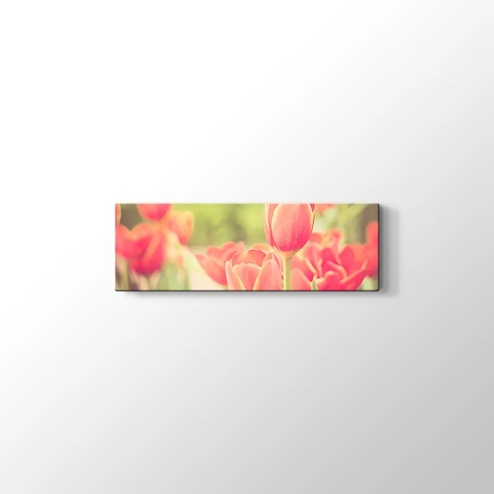 Lale Bahçesi Kanvas Tablo