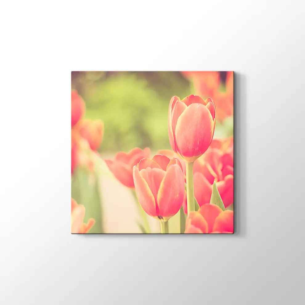 Lale Bahçesi Kanvas Tablo