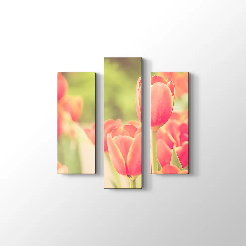 Lale Bahçesi Kanvas Tablo