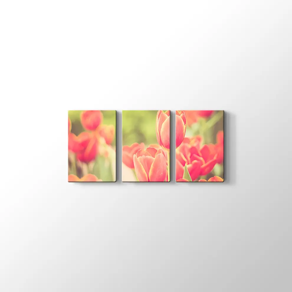 Lale Bahçesi Kanvas Tablo