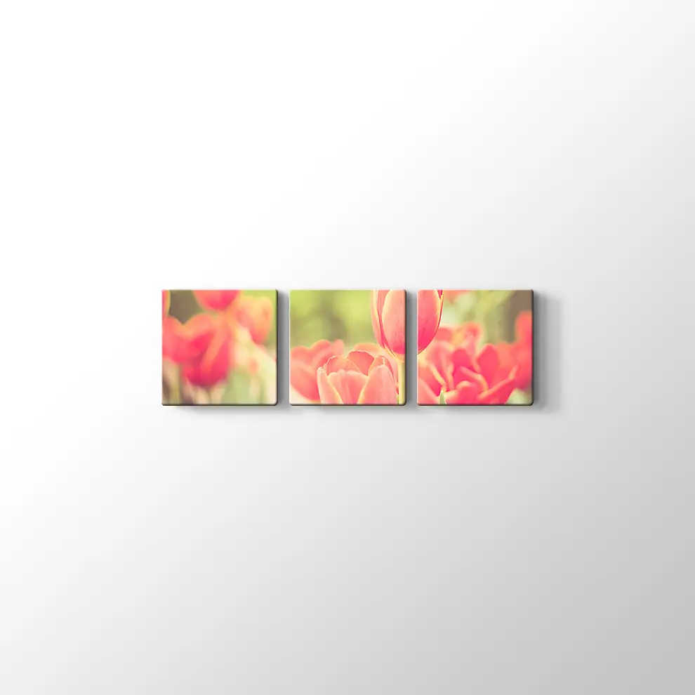 Lale Bahçesi Kanvas Tablo