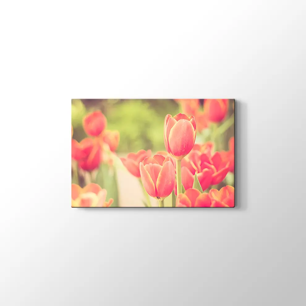 Lale Bahçesi Kanvas Tablo