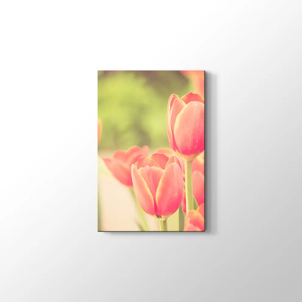 Lale Bahçesi Kanvas Tablo