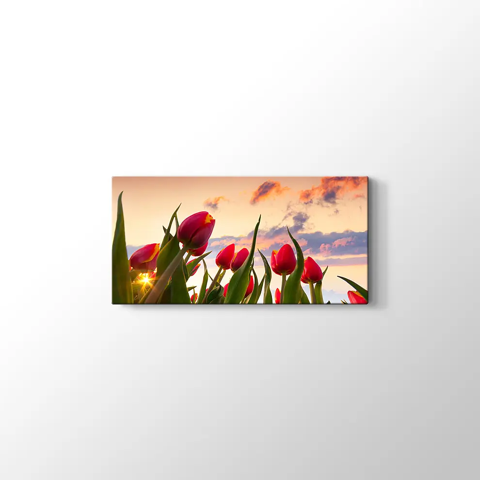 Kırmızı Laleler Kanvas Tablo