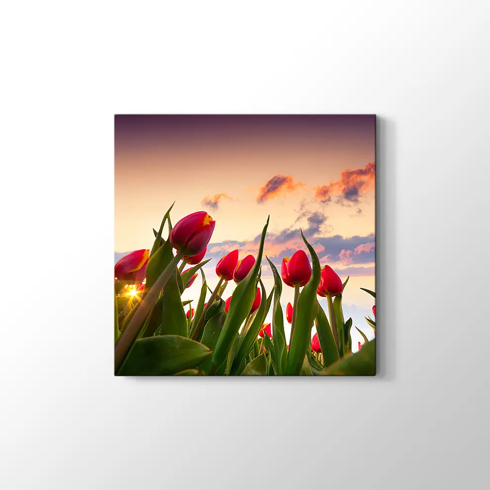 Kırmızı Laleler Kanvas Tablo