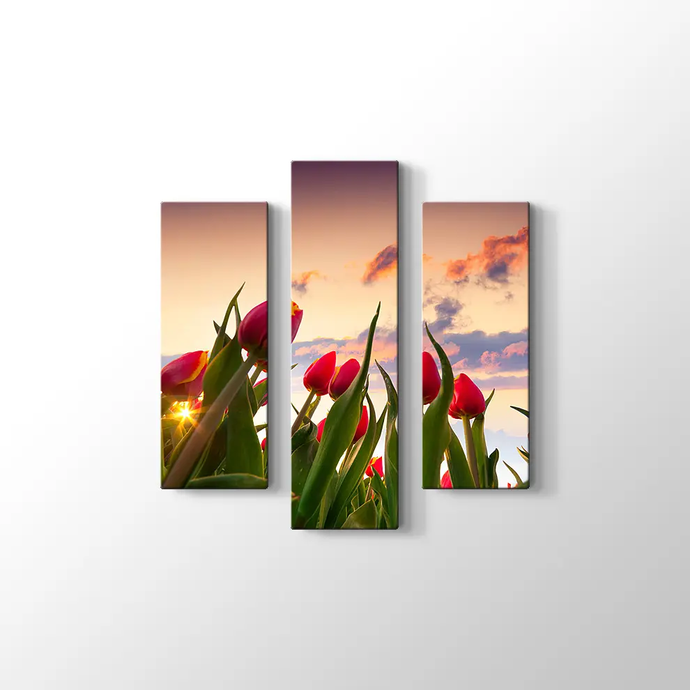 Kırmızı Laleler Kanvas Tablo
