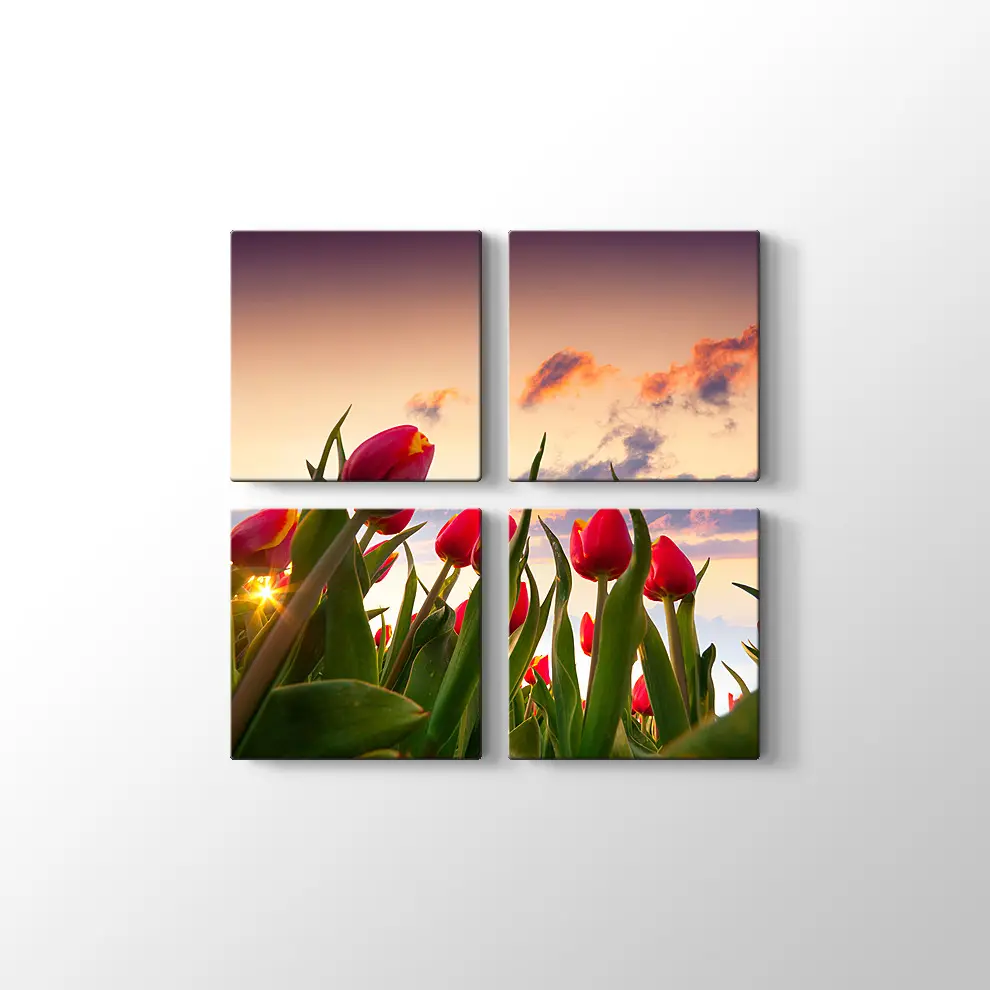 Kırmızı Laleler Kanvas Tablo