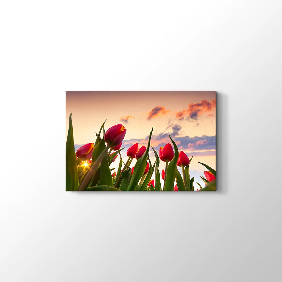 Kırmızı Laleler Kanvas Tablo