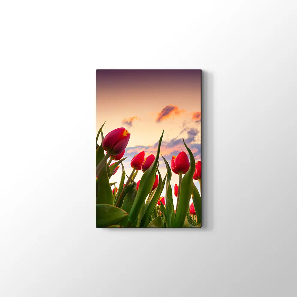 Kırmızı Laleler Kanvas Tablo