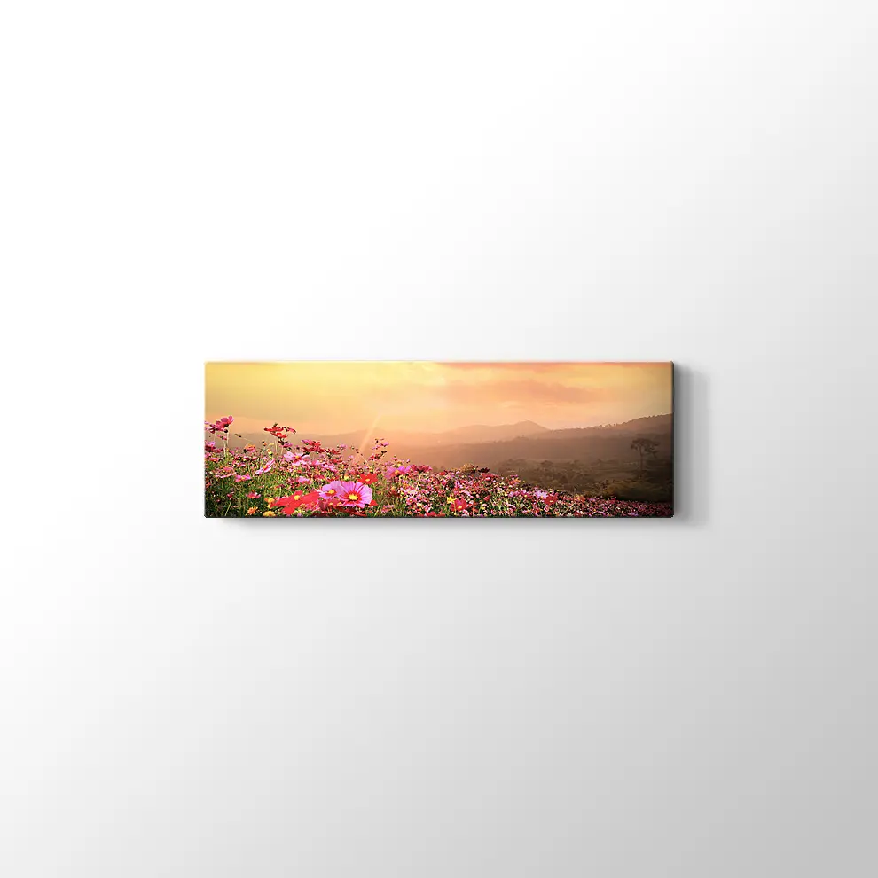 Cosmos Çiçekleri ve Manzara Kanvas Tablo