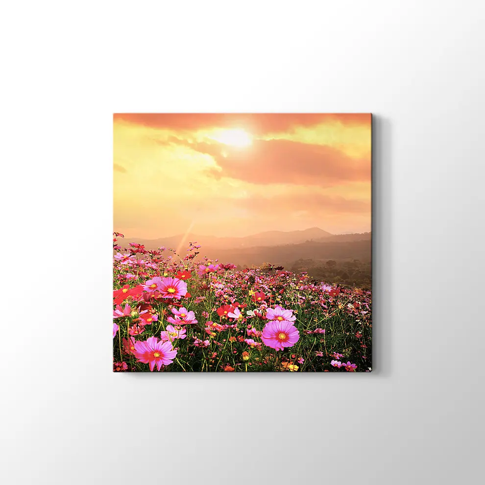 Cosmos Çiçekleri ve Manzara Kanvas Tablo