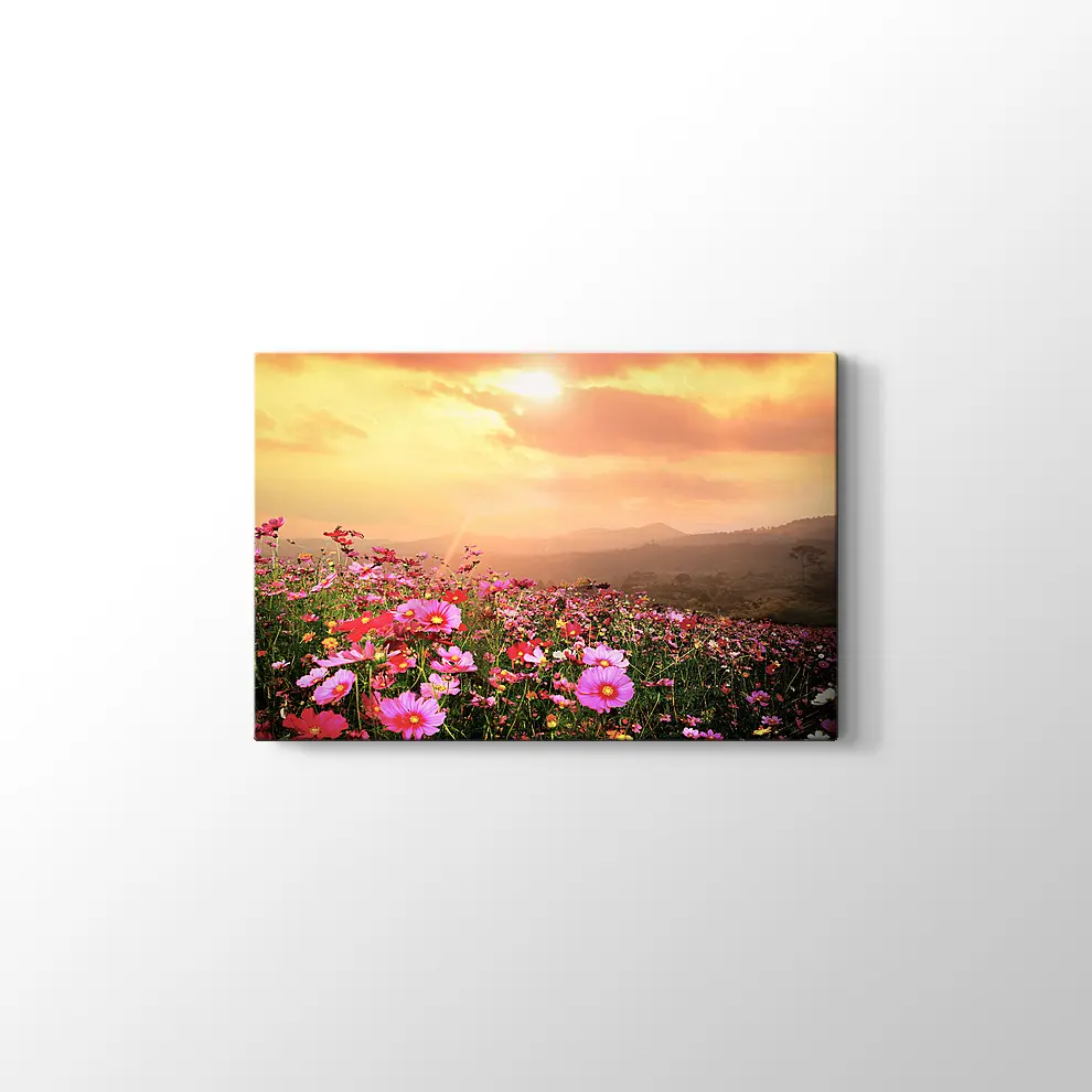 Cosmos Çiçekleri ve Manzara Kanvas Tablo