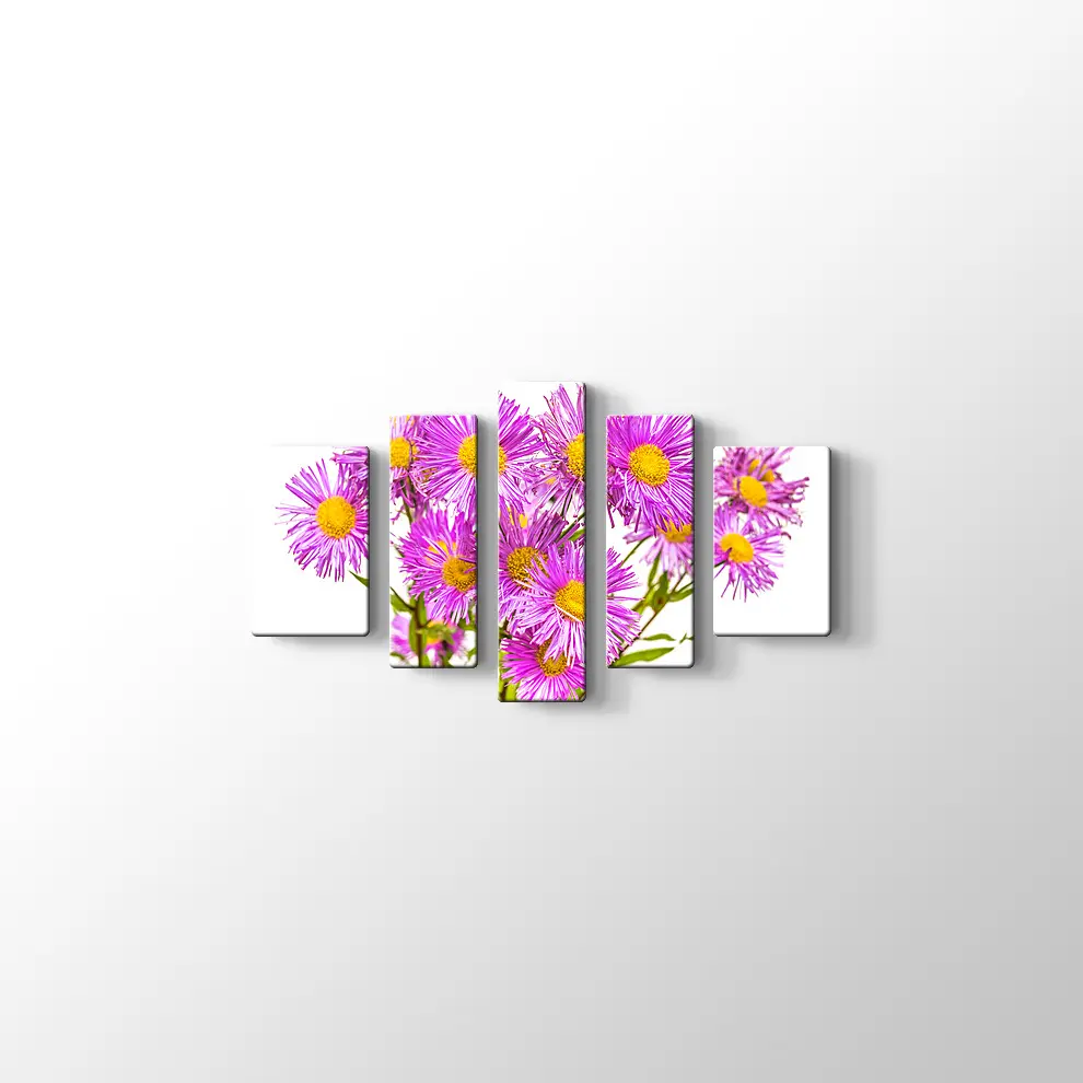 Erigiron Çiçeği Kanvas Tablo