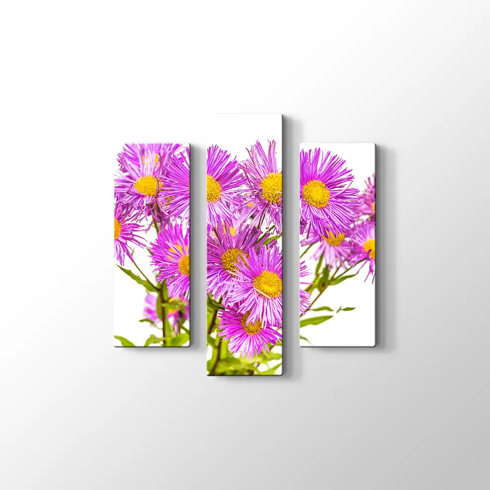 Erigiron Çiçeği Kanvas Tablo