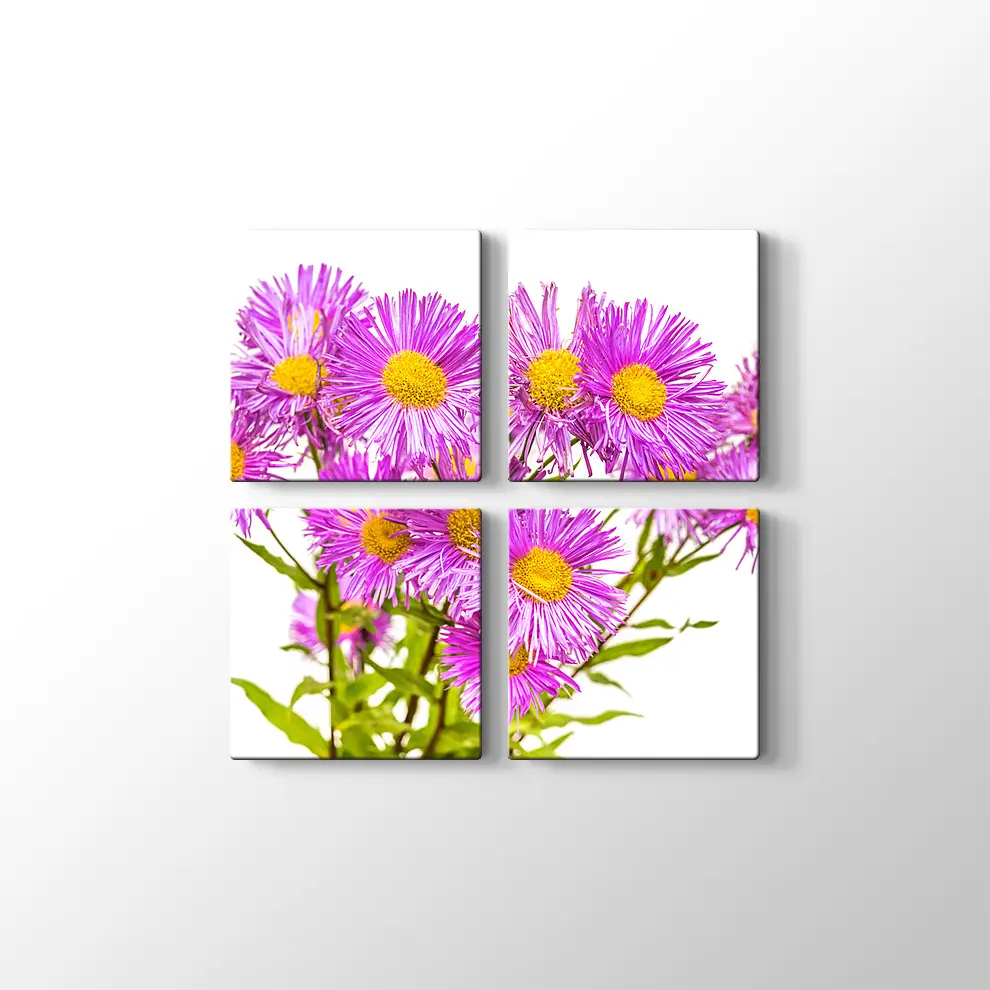 Erigiron Çiçeği Kanvas Tablo