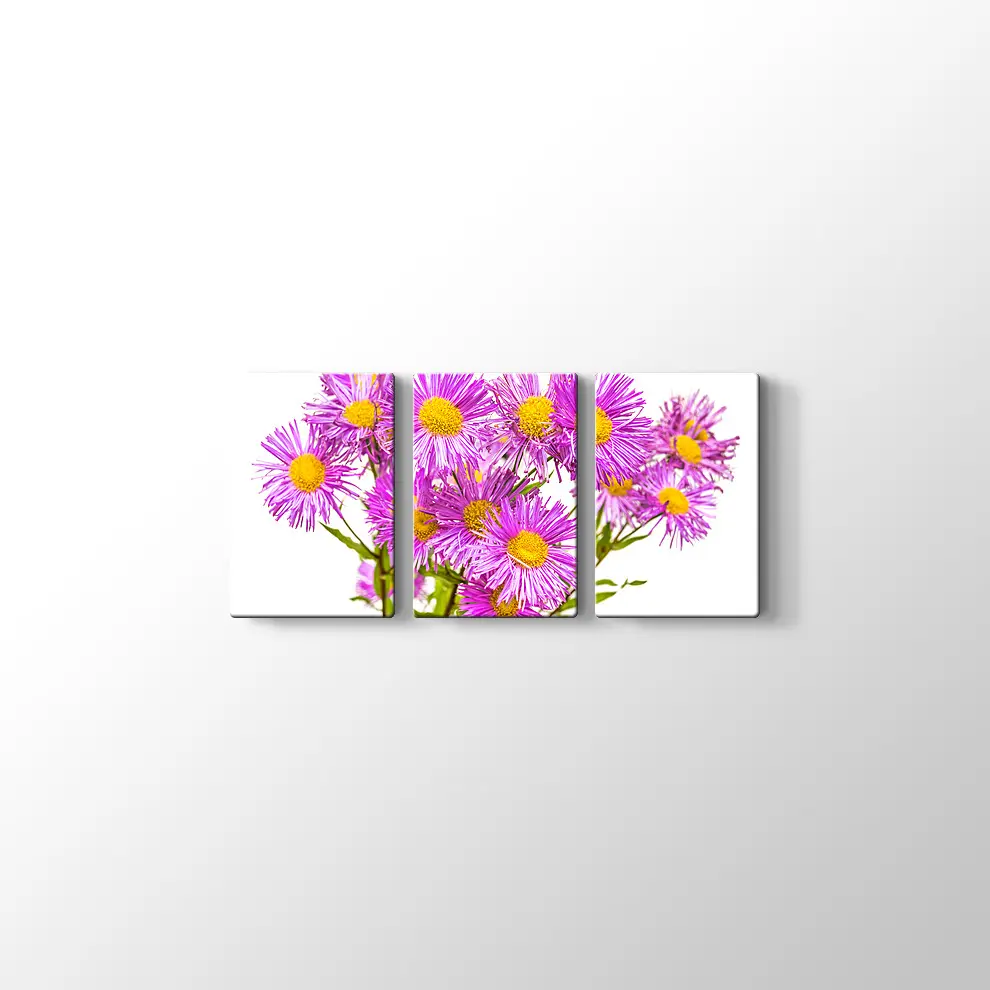 Erigiron Çiçeği Kanvas Tablo