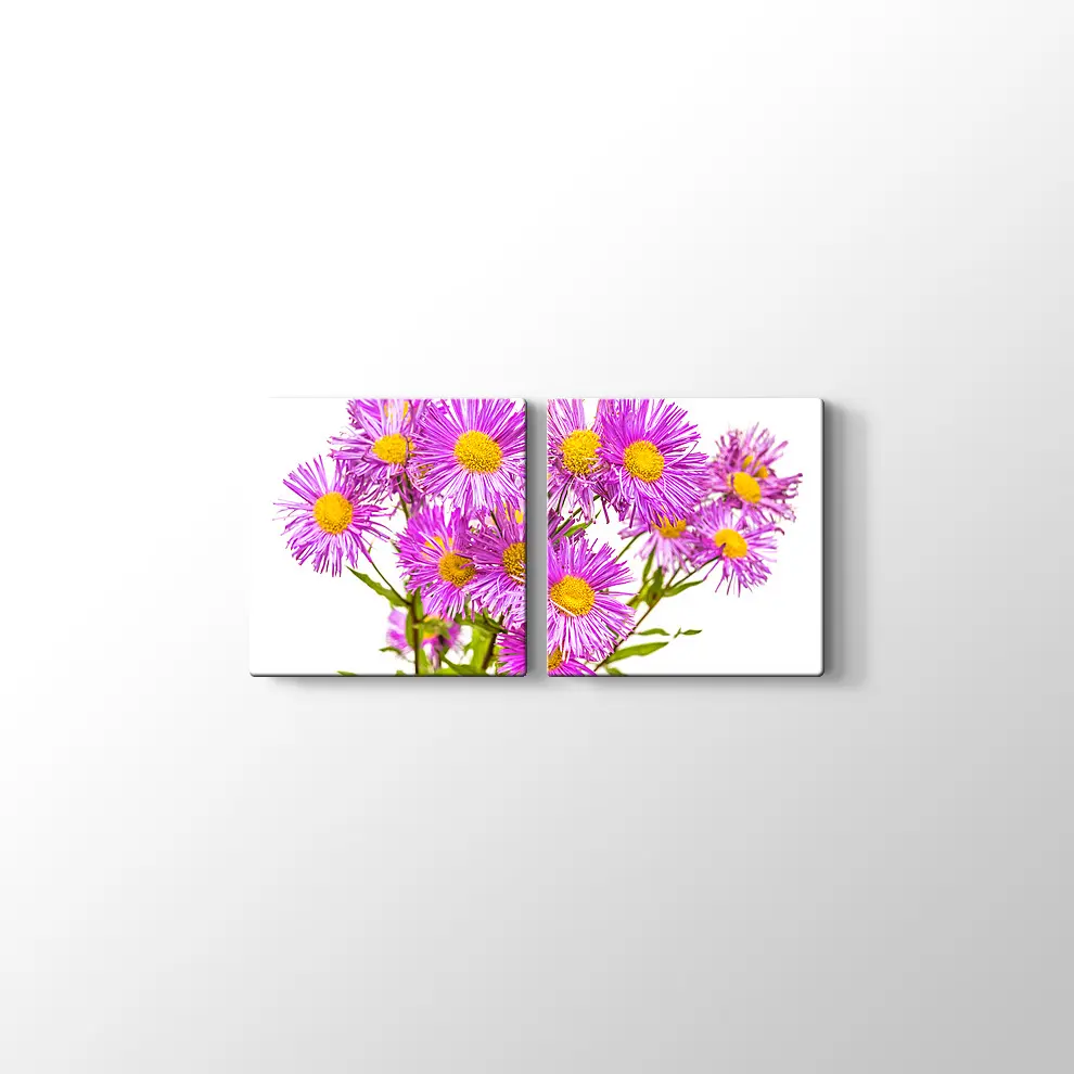 Erigiron Çiçeği Kanvas Tablo