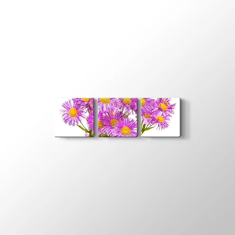 Erigiron Çiçeği Kanvas Tablo