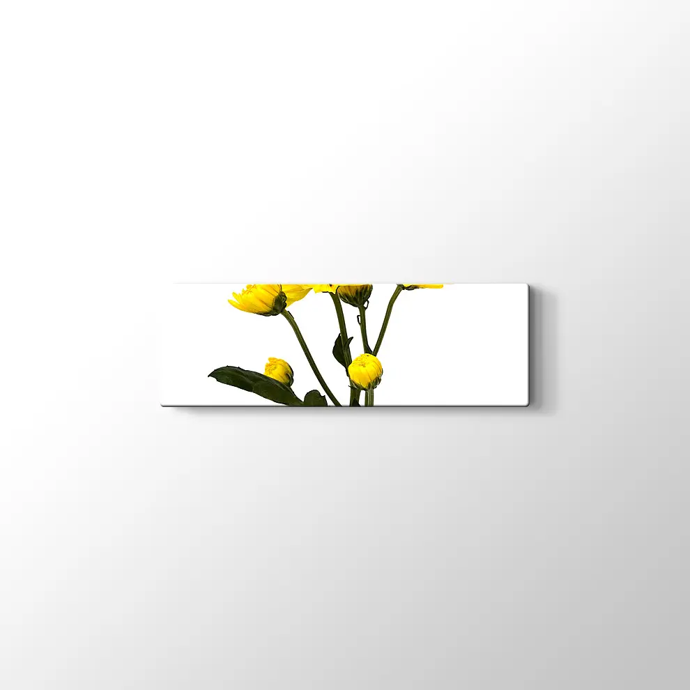 Büyüyen Çiçekler Kanvas Tablo