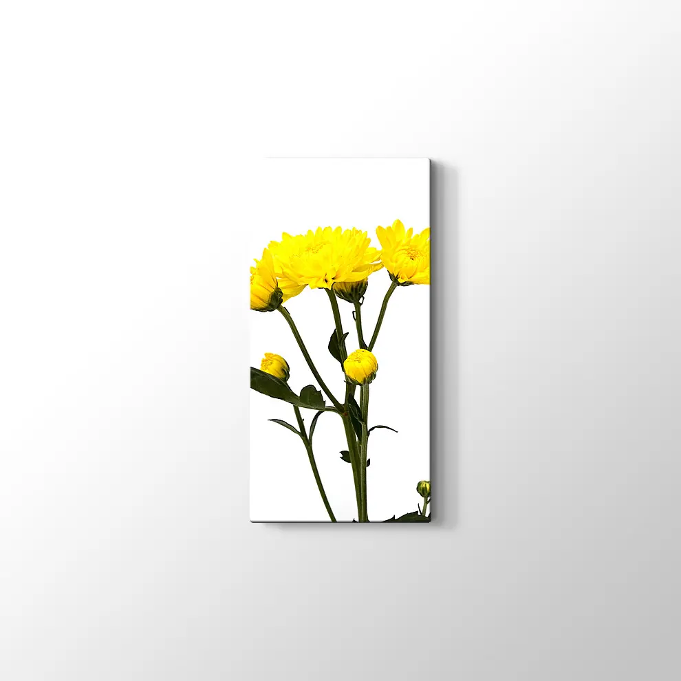 Büyüyen Çiçekler Kanvas Tablo