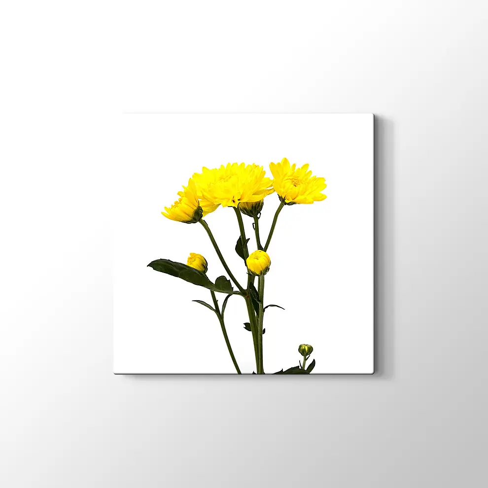 Büyüyen Çiçekler Kanvas Tablo