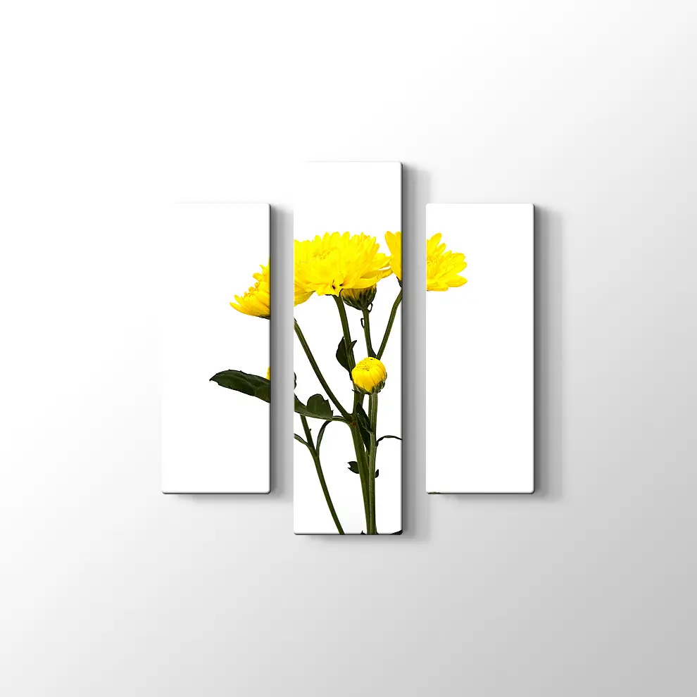 Büyüyen Çiçekler Kanvas Tablo