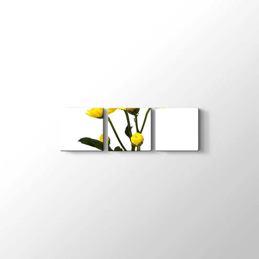 Büyüyen Çiçekler Kanvas Tablo