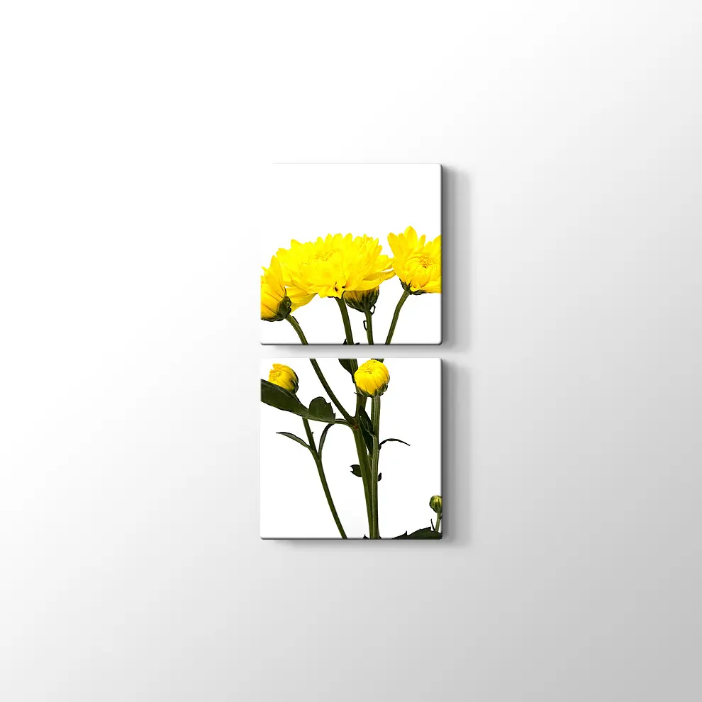 Büyüyen Çiçekler Kanvas Tablo