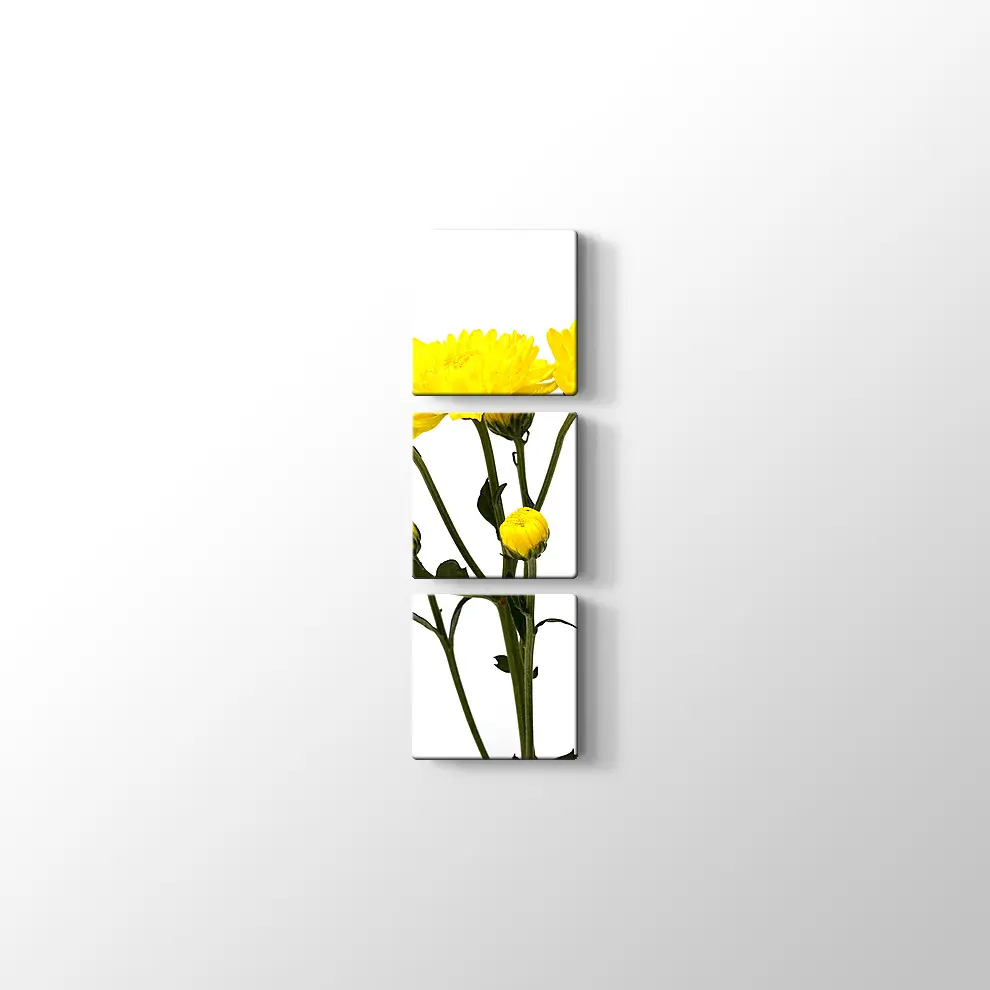 Büyüyen Çiçekler Kanvas Tablo