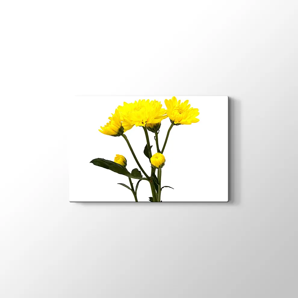 Büyüyen Çiçekler Kanvas Tablo