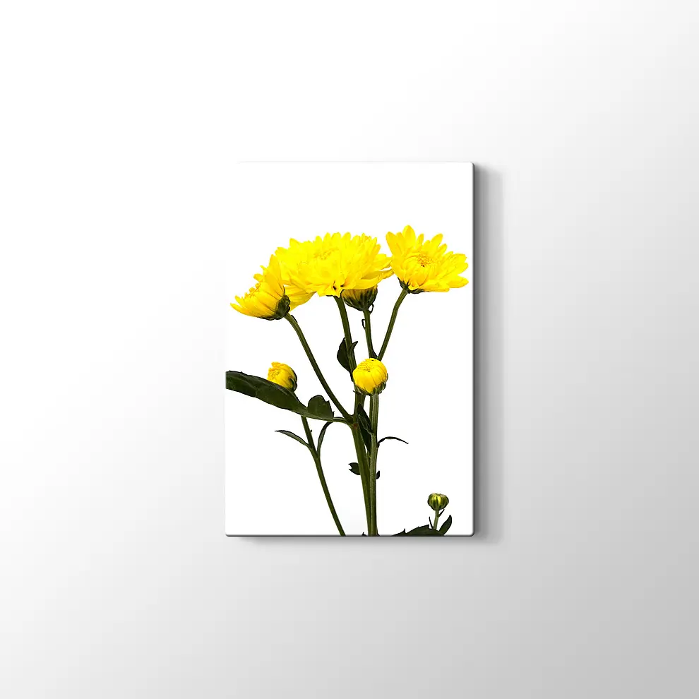 Büyüyen Çiçekler Kanvas Tablo