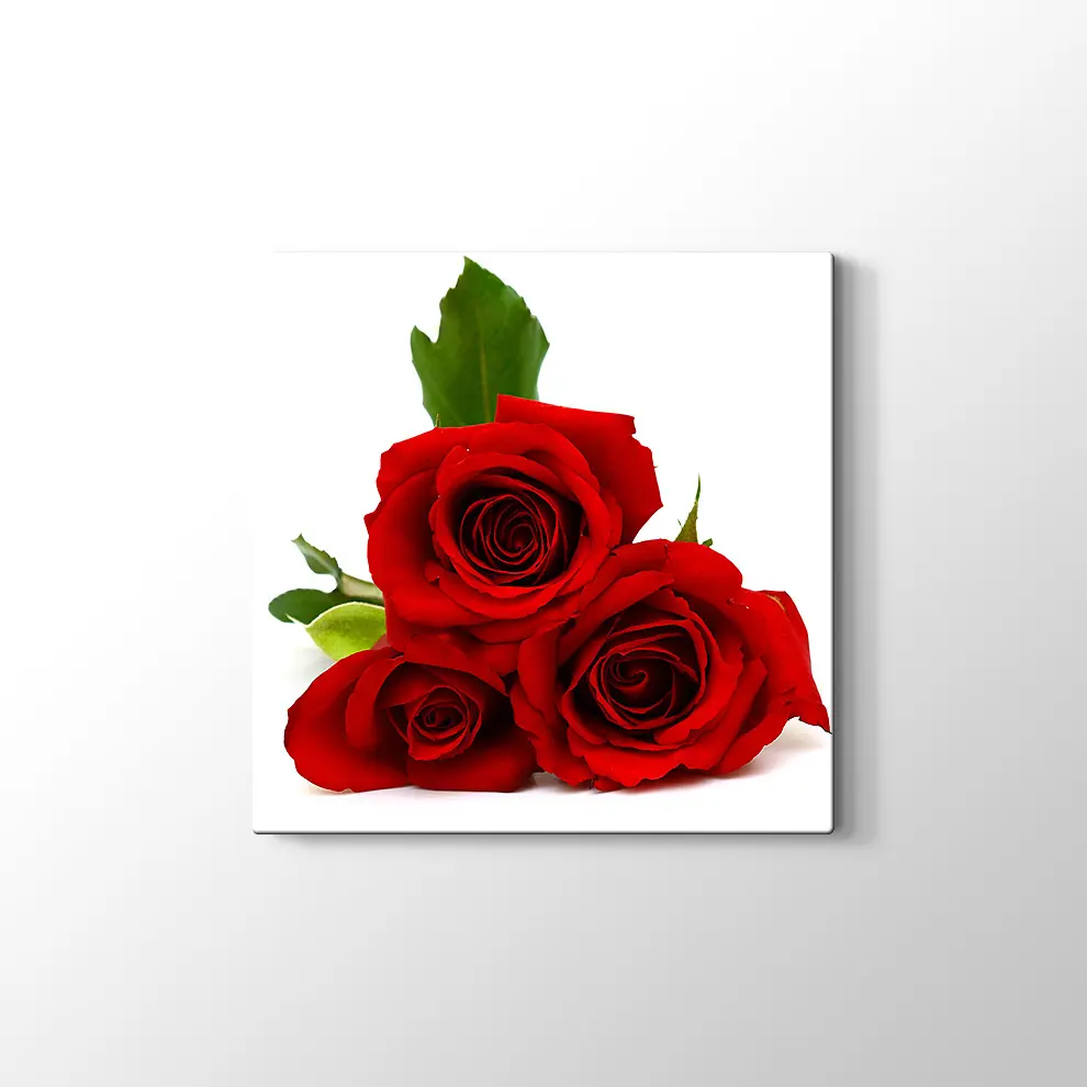Üç Kırmızı Gül Kanvas Tablo