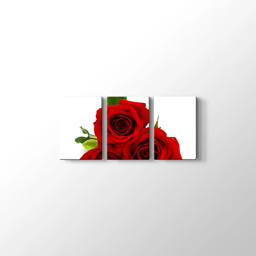 Üç Kırmızı Gül Kanvas Tablo