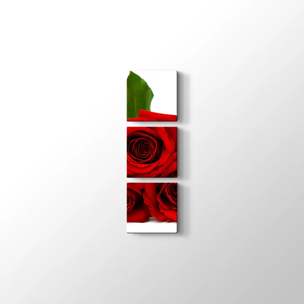 Üç Kırmızı Gül Kanvas Tablo