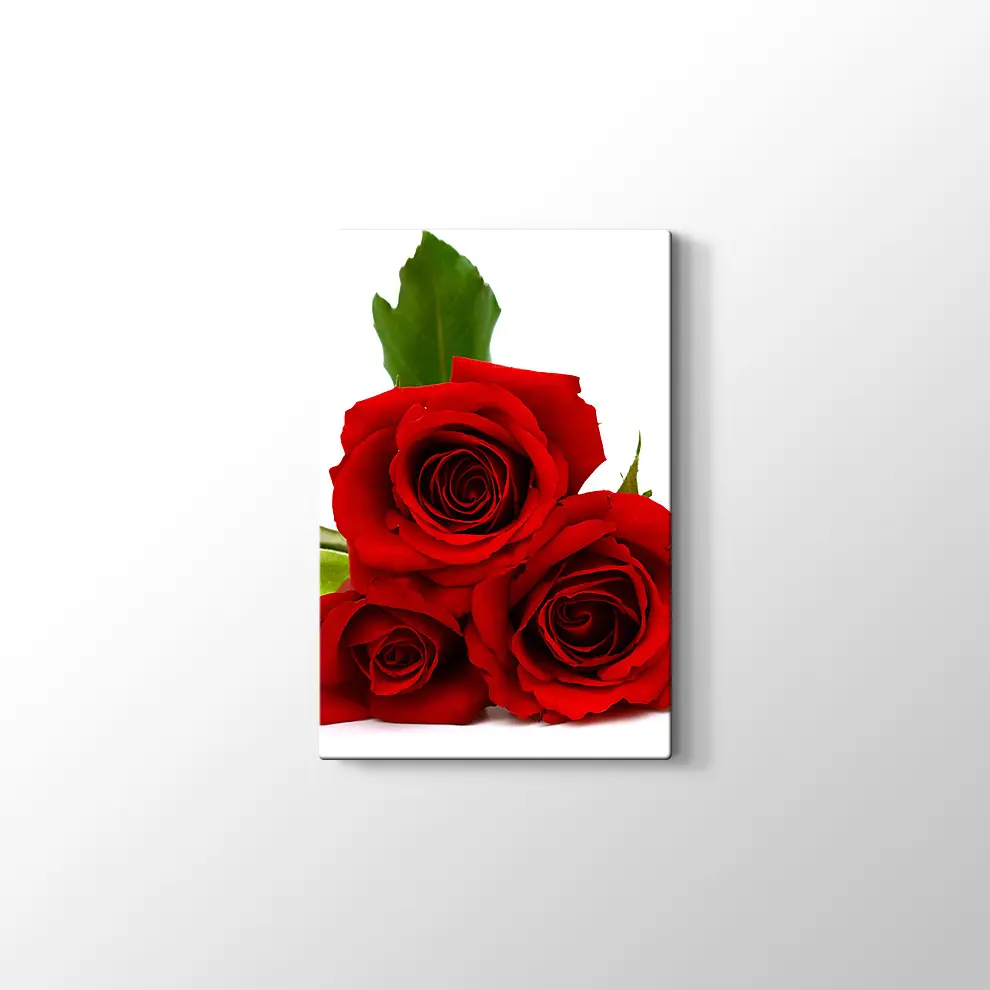 Üç Kırmızı Gül Kanvas Tablo