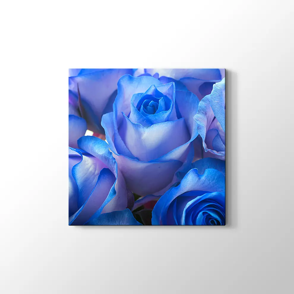 Mavi Güller Kanvas Tablo