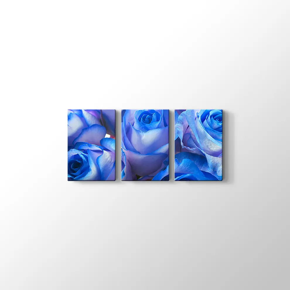 Mavi Güller Kanvas Tablo