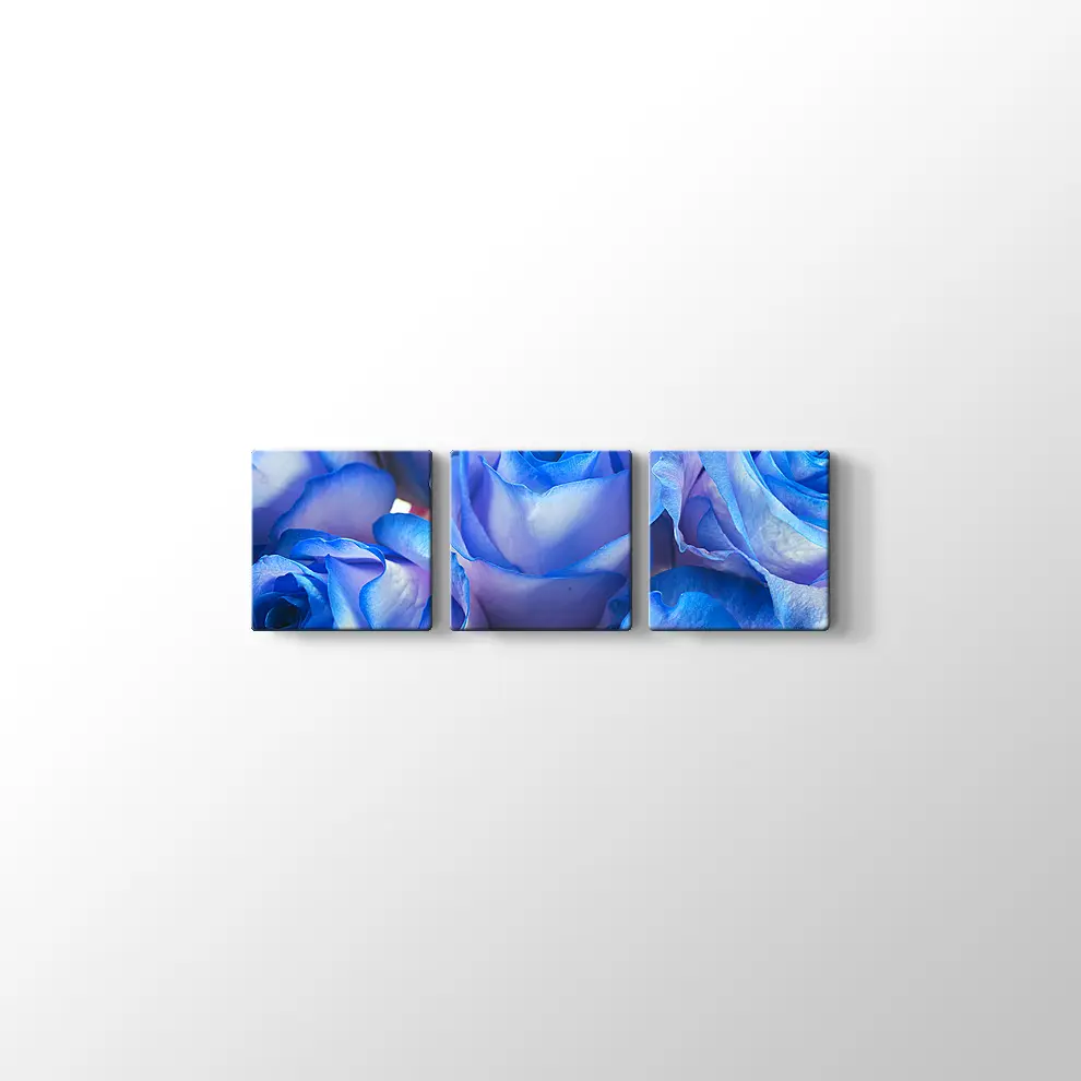 Mavi Güller Kanvas Tablo