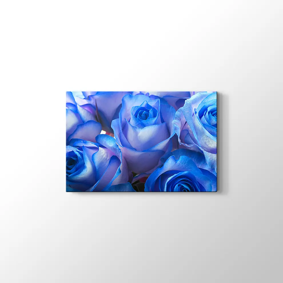 Mavi Güller Kanvas Tablo