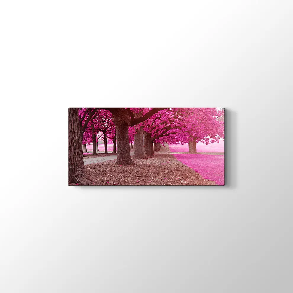 Pembe Park Kanvas Tablo