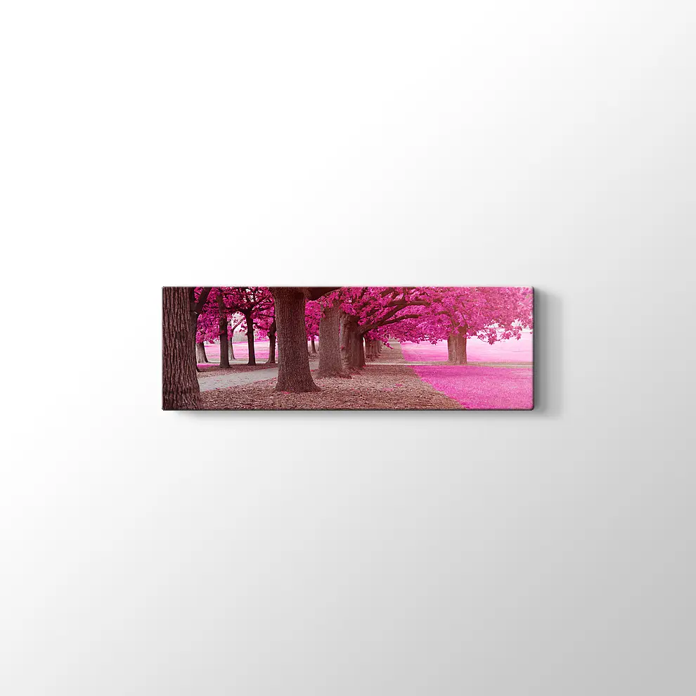 Pembe Park Kanvas Tablo